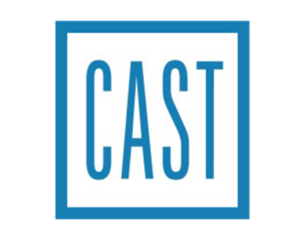 Cast Lighting Logo