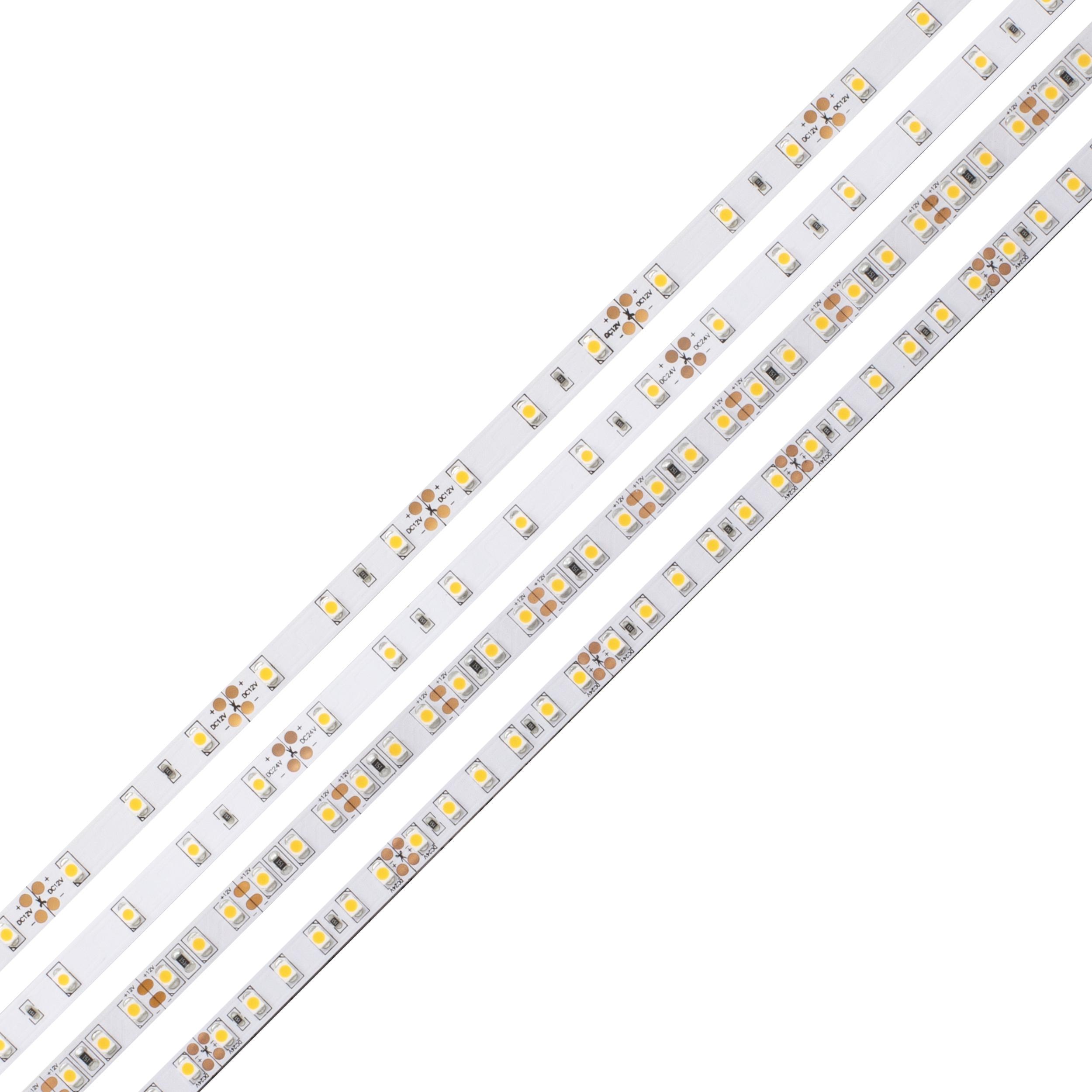 diode led&reg; DI-24V-BLBSC1-30-W01 490884
