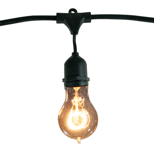Bulbrite 810004