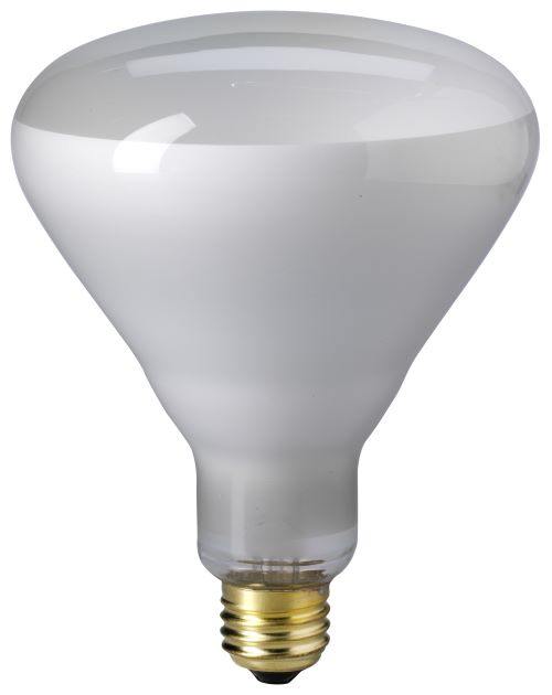 EIKO&reg; 65BR40/FL-120V 399942