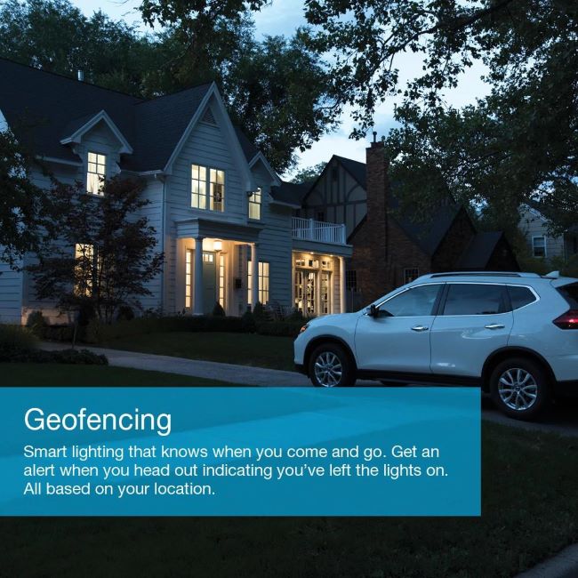 Lutron&reg; P-BDG-PKG1WS 555156