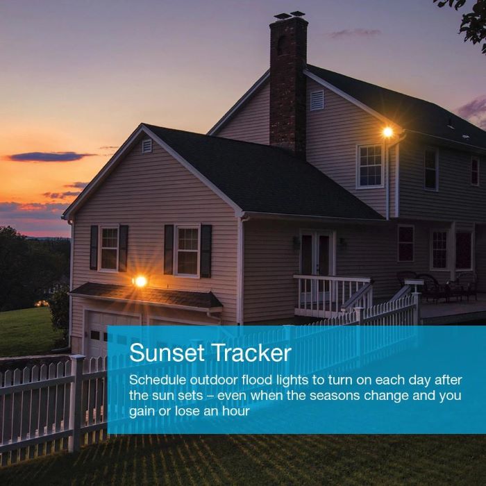 Lutron&reg; P-BDG-PKG1WS 555156