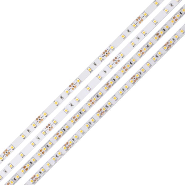 diode led&reg; DI-24V-BLBSC1-27-100 509707