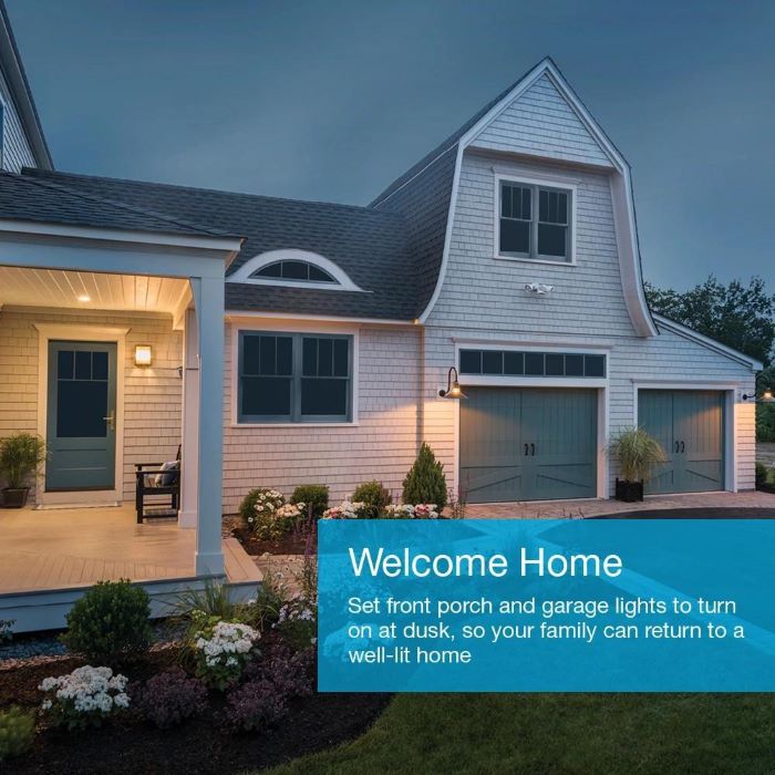 Lutron&reg; P-PKG1WS-WH 500526